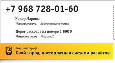 Подключенный на данный момент тариф
