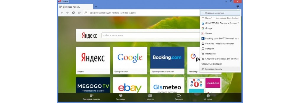 №11. Меню инструментов в браузере Opera