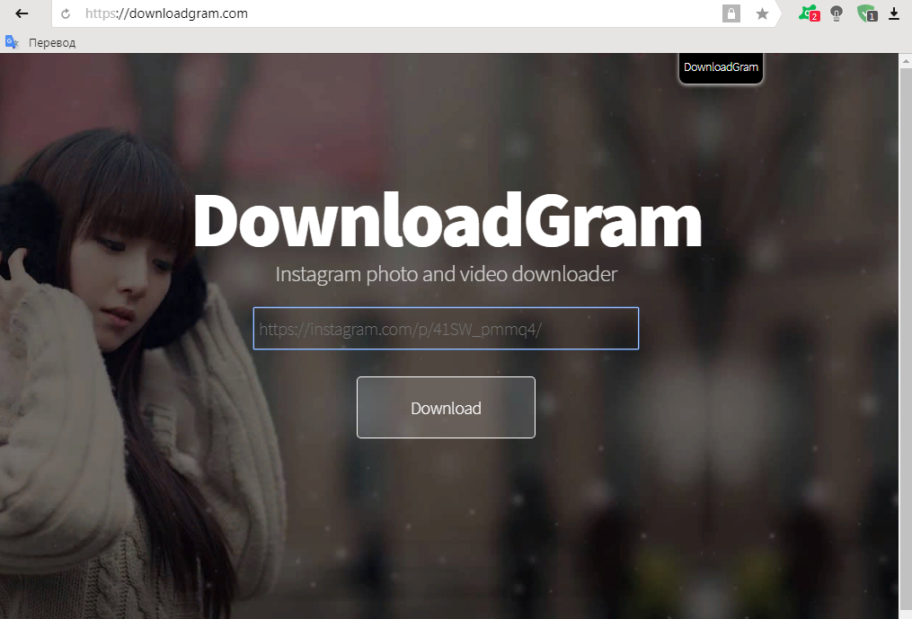 Рис. 3. Ресурс DownloadGram для простого скачивания фото из Инстаграм.