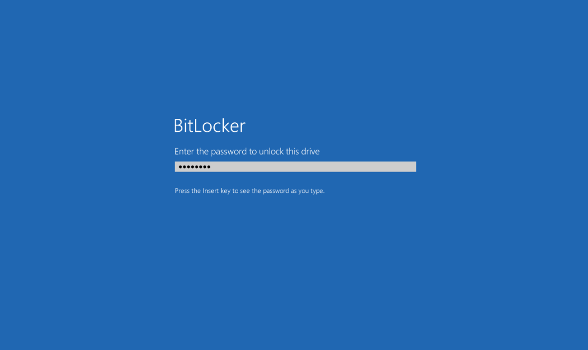 Рис. 1. Технология Битлокер позволяет защитить не отдельные файлы, а целые разделы (тома).