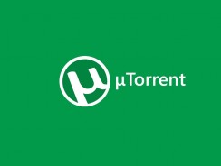 Как пользоваться торрентом — Подробные указания