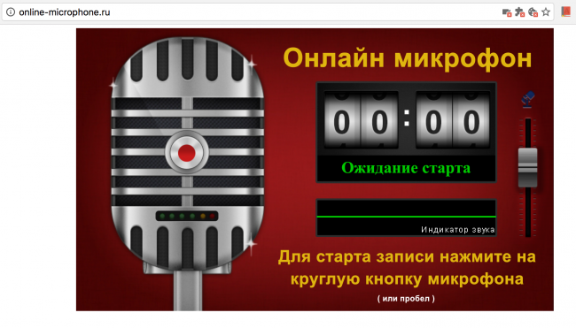 Рис. 6 Online Microphone – запись 