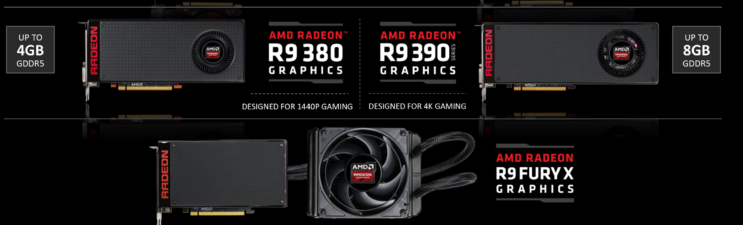 Рис. 1. Разнообразие видеокарт AMD Radeon