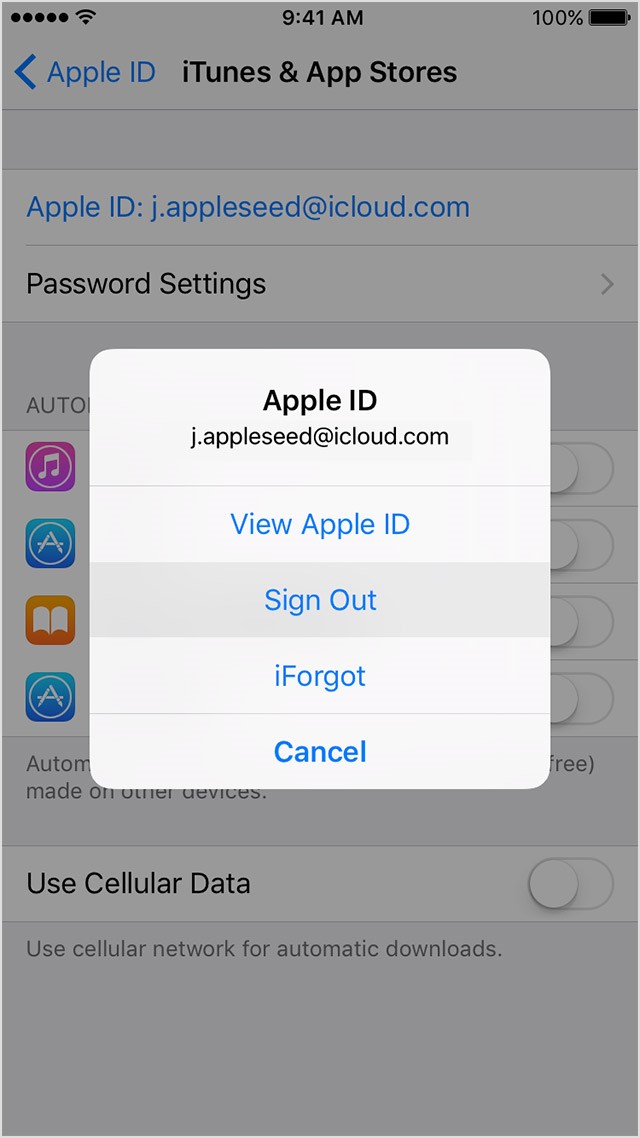Рис.13 – выход из Apple ID