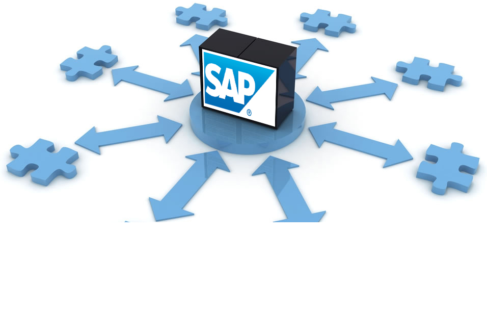 Рис. 4 – Многофункциональность системы SAP