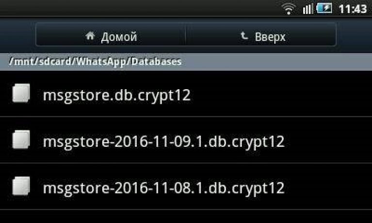 Msgstore db crypt 14. Msgstore.DB.Crypt. Msgstore.DB что это. Msgstore.DB.Crypt 14 что это за файл можно ли удалить. WHATSAPP/databases.