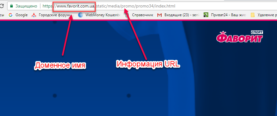Рис.3 Пример отображения доменного имени и URL запрашиваемого сайта.