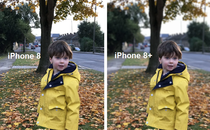 Рис. 5. Фото с iPhone 8 и iPhone 8+ (с размытием фона).